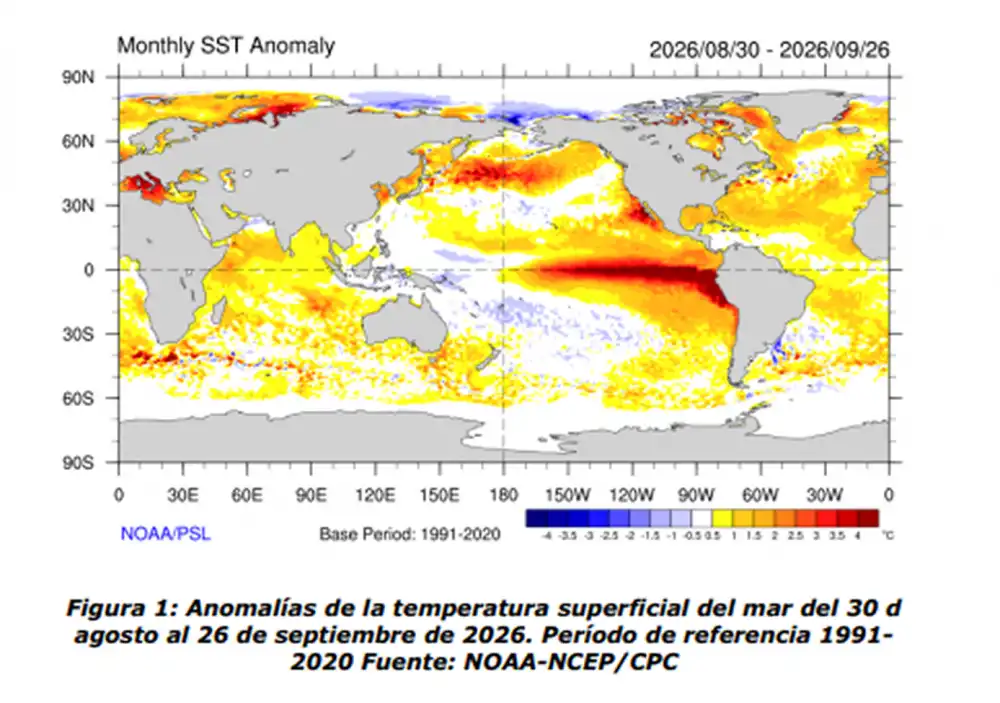 1000x703_durante-mes-septiembre-temperatura-agua-mar-oceano-pacifico-ecuatorial-fue-superior-valores-normales-figura-1-al-este-linea-fecha-se-observo-1156781-095320.webp