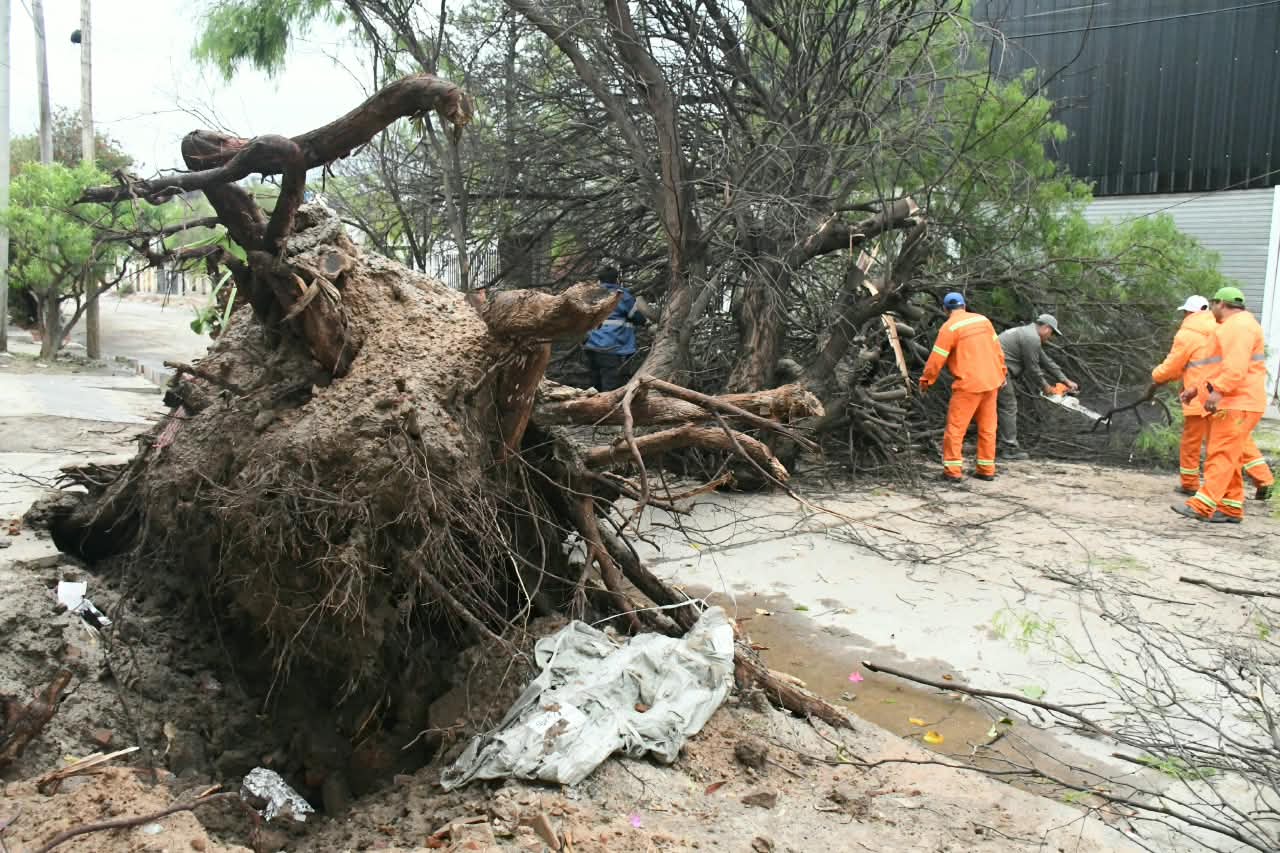 El Comité de Emergencia de la Capital despliega un amplio operativo desde la madrugada