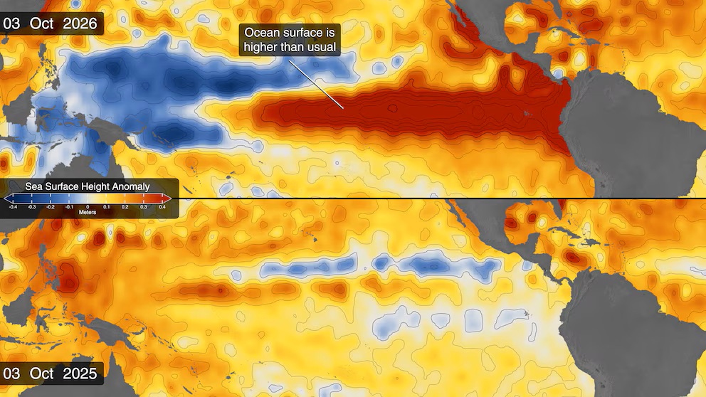 Los satélites de la NASA siguen el avance de El Niño: la señal clave en el océano que anticipa un impacto extremo en el clima